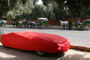 Photo A.Pons